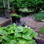 Fragrant Bouquet looking towards pond garden